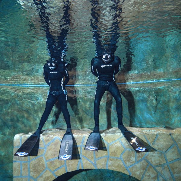 Basic Freediver, 24.11.2024, 10-18 Uhr